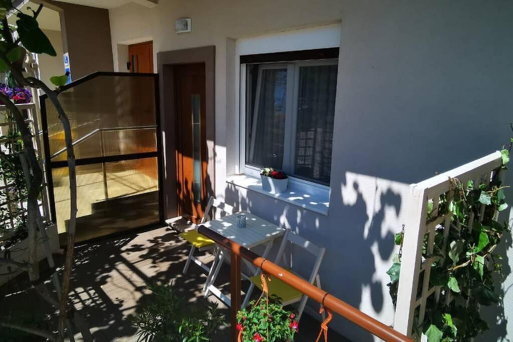 Premium Nera Zadar
